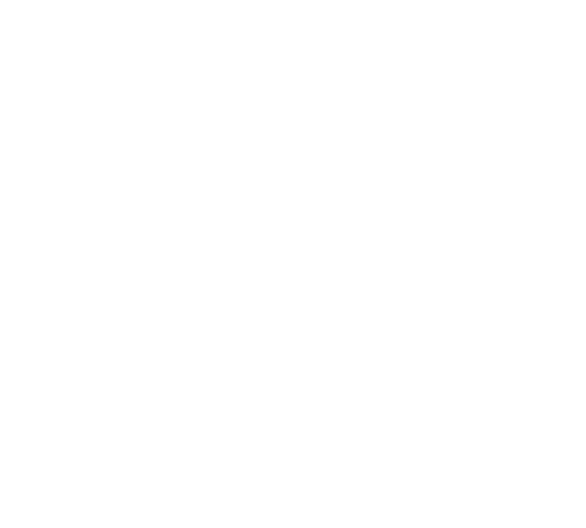 Onix logo big white